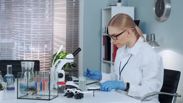 In Modern Laboratory Research Scientist Making Experiment with Magnifying Glass and Surgical Pincers