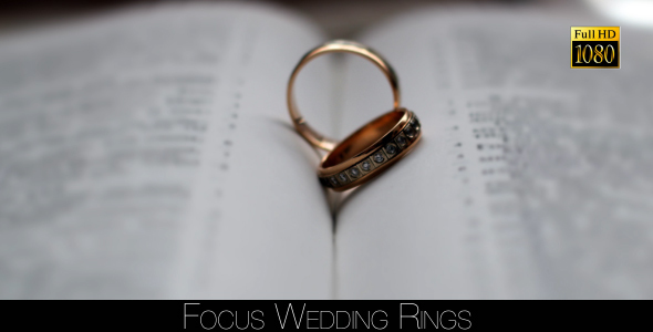 Focus Wedding Rings