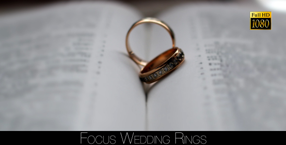 Focus Wedding Rings alt