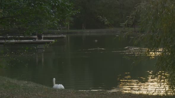 Two Wooden Piers at River Lake Distantly Deck