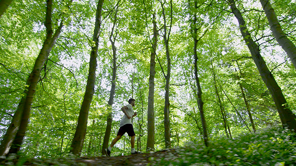 Young Man In Sportswear Running Through Trees