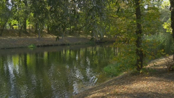 River Water Green Grass Green Bushes Green Trees