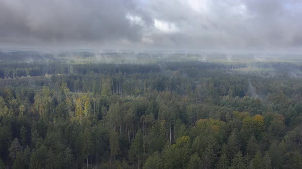 Rainy autumn day. Flying slow and backward over a beautiful forest landscape with upraising fog