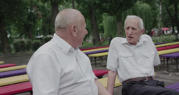 Two Seniors Friends Talking on Park Bench Discussing Jokingly and Watching