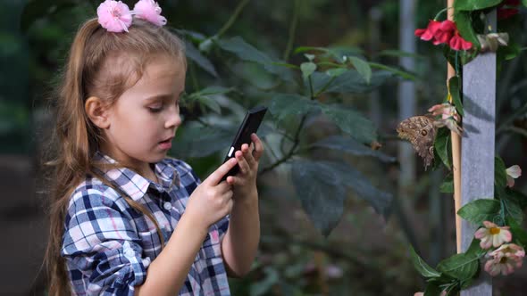 A Butterfly Sits on a Branch a Little Girl Tries to Make an Insect Photo