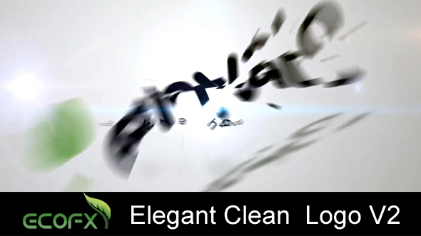 Elegant Clean  Logo V2