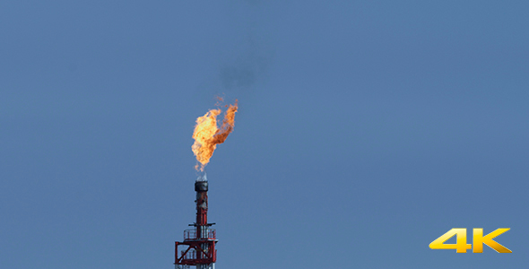 Oil Torch