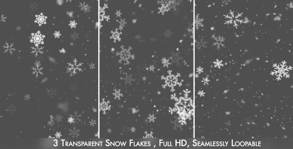 Snow and Snow Flakes