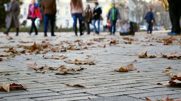 Autumn. People Walking.