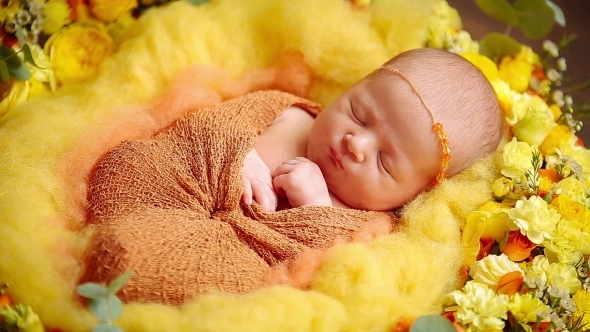 Cute Little Newborn Baby Girl Laying In Flowers