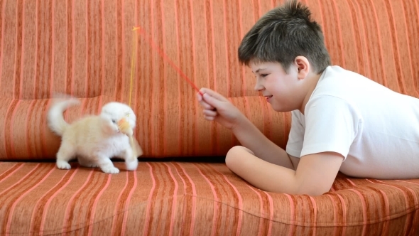 Teenage Boy Playing With a Kitten On  Couch