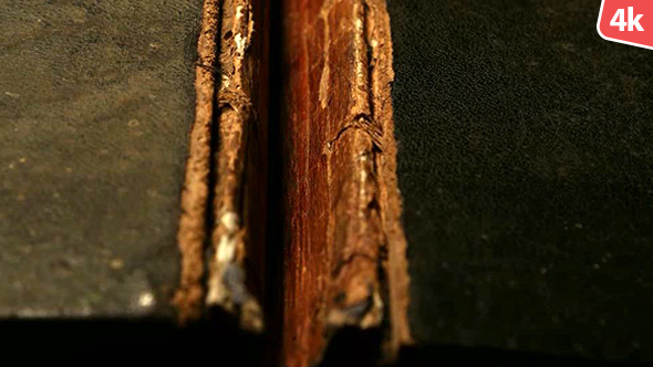 Old Holy Bible 129 alt