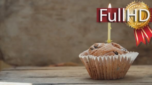Tasty Birthday Cupcake With Candle