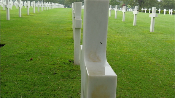 Crosses are Lined at the Normandy Cemetery  alt
