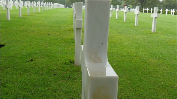 Crosses are Lined at the Normandy Cemetery 