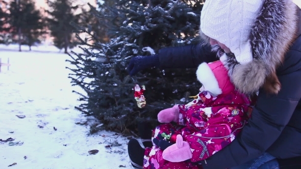 Decoration The Christmas Tree