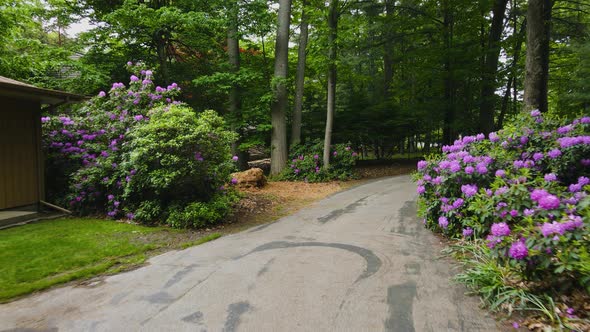 Tracking forward through a driveway.