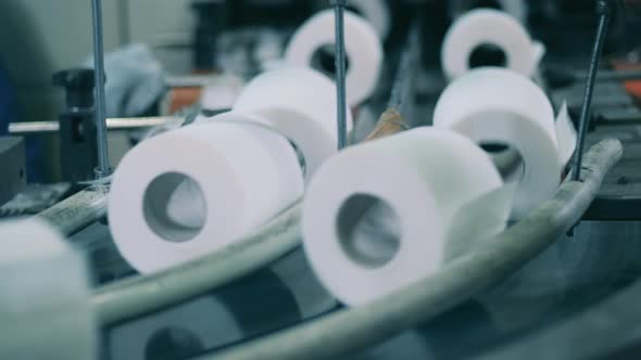 Toilet Paper Production Line at a Modern Paper Mill