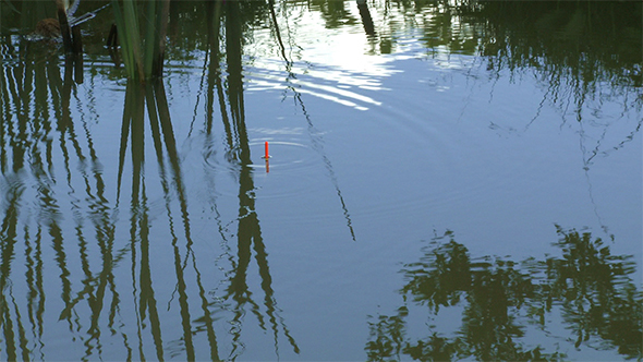 Bobber Floating 