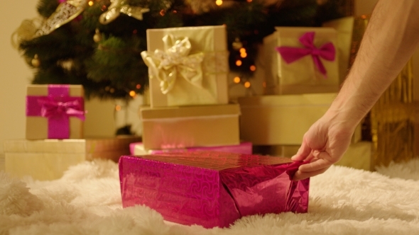 Present Box In Front Of The Christmas Tree