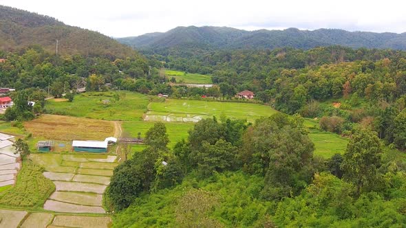 Aerial Shot Rice Field And Mountain View 5