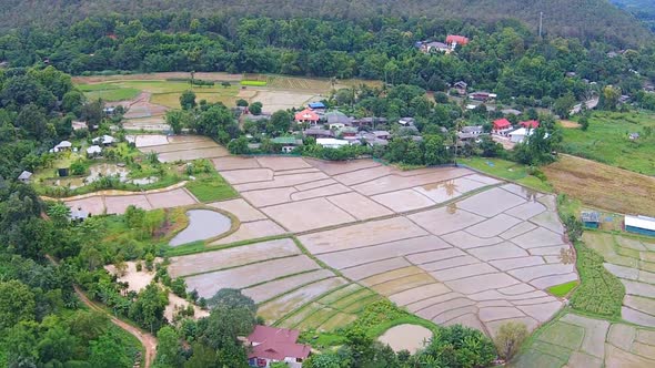 Aerial Shot Rice Field And Mountain View 6