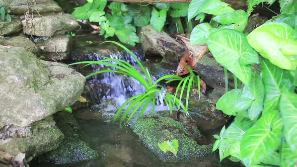 Water Fall In Forest 2