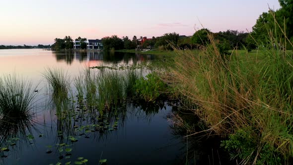 Wetlands along Lake Ida in Delray Beach, Fl.