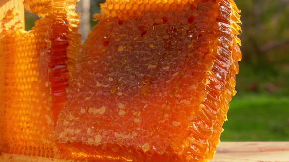 Part of the Delicious Fresh Honeycombs is Taken From the Wooden Frame