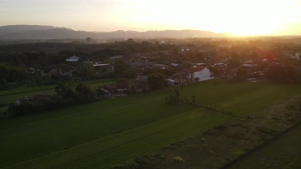 Aerial view of sunset in village in Indonesia with rice field and house