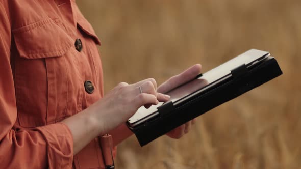 Caucasian Agronomist checking the field of cereals and sends data to the cloud from the tablet.