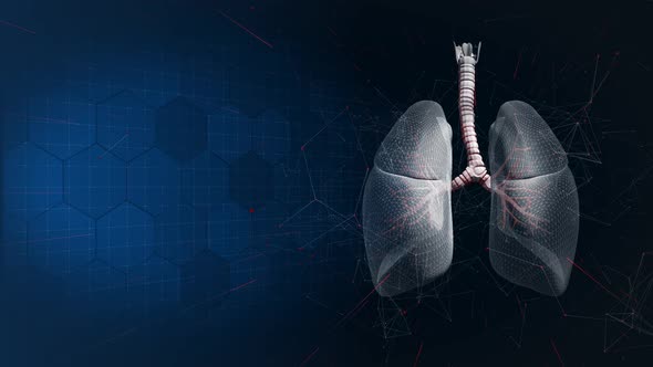 Lungs On Scientific Background