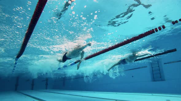 Swimmers Perform Breaststrokes and Dolphin Kicks Underwater