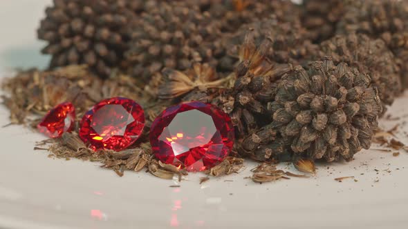 Red Ruby Diamonds On A New Economic Crop Seed