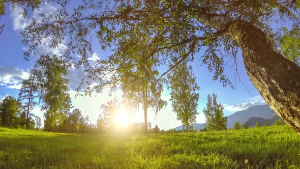 Mountain Meadow Time-lapse at the Summer or Autumn Time. Wild Nature and Rural Field. Motorised