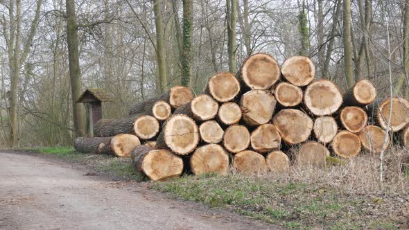 A Stack of Logs