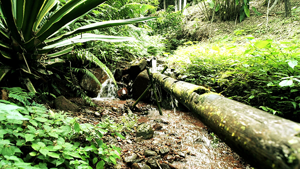 Bamboo Water Feature 24