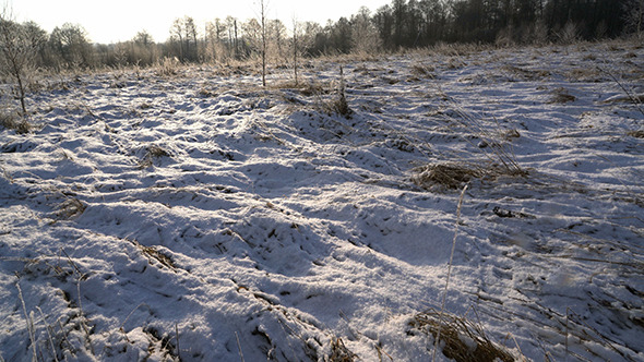 Snowfall at Winter Snowy Field