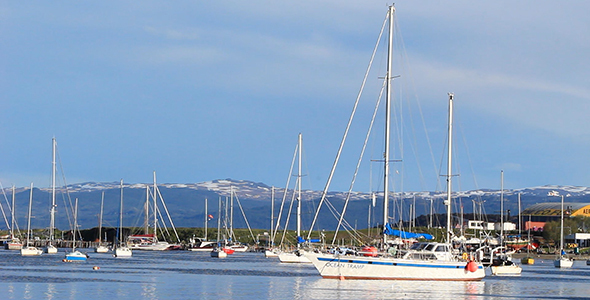 Sailboats in Southern Harbor
