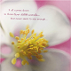 Flower Scent - AudioJungle Item for Sale
