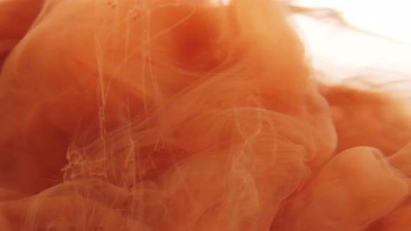 Orange ink drops in water