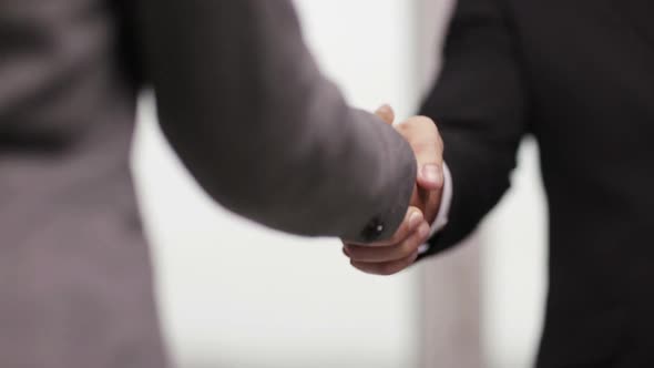 Businessman And Businesswoman Shaking Hands 2