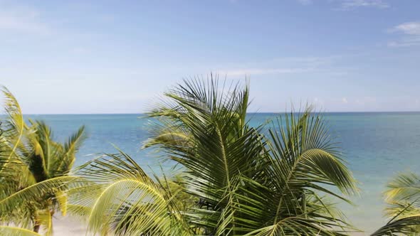 Tropical Beach With Palm Trees 2