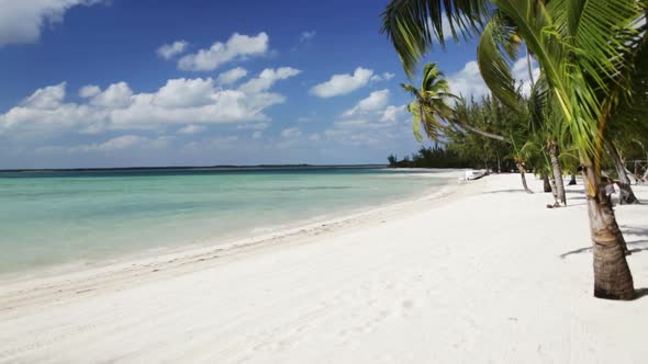 Tropical Beach With Palm Trees And Boat 3