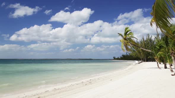 Tropical Beach With Palm Trees And Boat 5