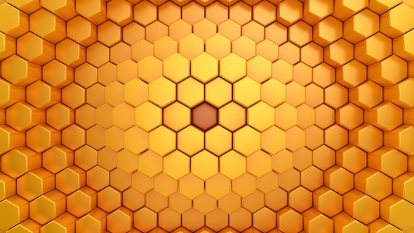 Hexagons Form A Wave