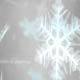 Winter Elegance - VideoHive Item for Sale