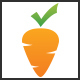 Veggie Check Logo - GraphicRiver Item for Sale