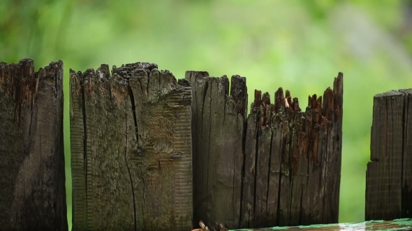 Top Of Broken Fence In Rain