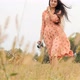 A Girl with a Camera is on the Field - VideoHive Item for Sale